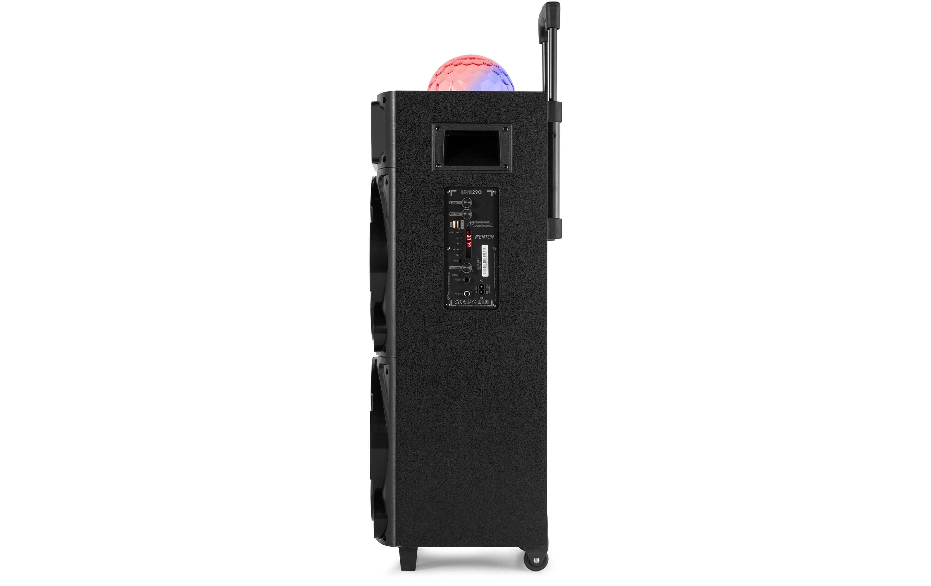 Fenton Lautsprecher LIVE290 Fenton Lautsprecher LIVE290