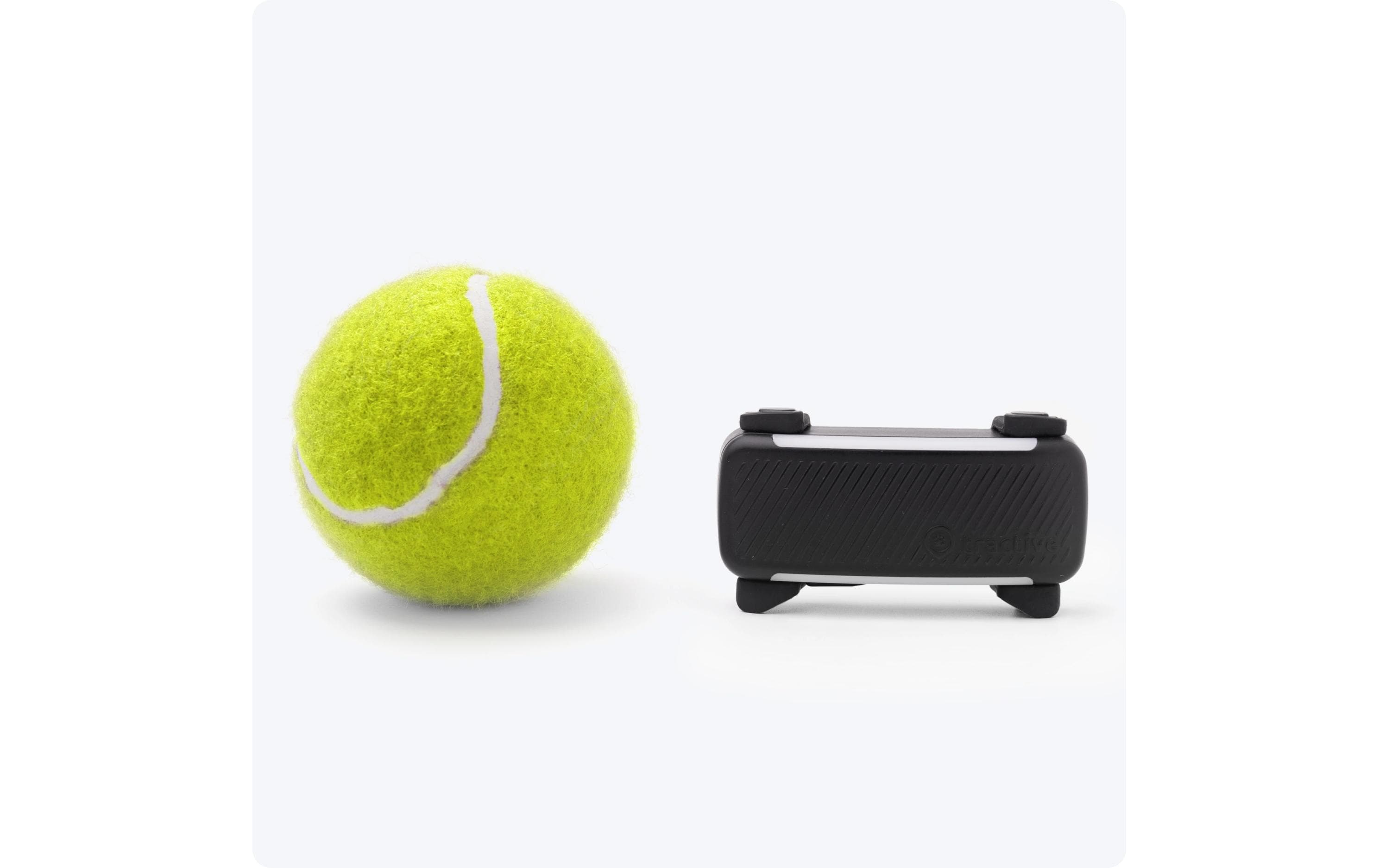 tractive GPS-Tracker DOG 6 Schwarz