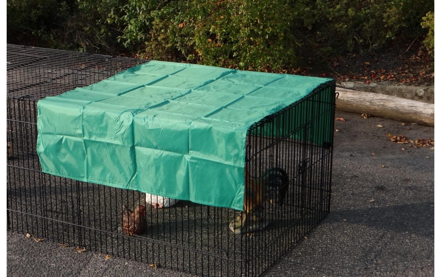 Sanilu Sonnenschutz, 159 x 100 cm, Grün