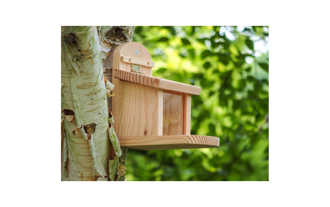 Wildlife World Eichhörnchenfutterstation, 23 x 17 x 19 cm, FSC Mix Wildlife World Eichhörnchenfutterstation, 23 x 17 x 19 cm, FSC Mix