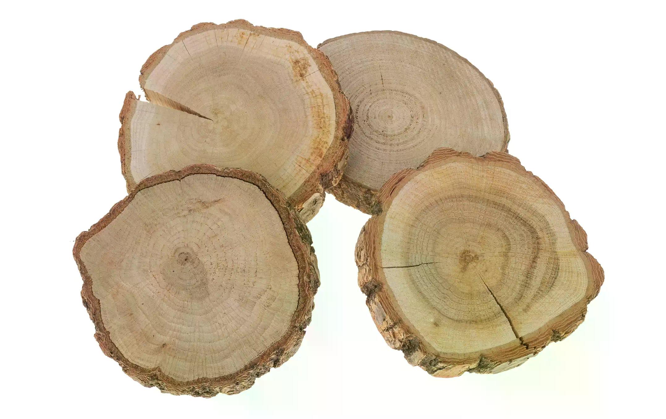 Opiflor Holzscheiben Eiche 4 Stück