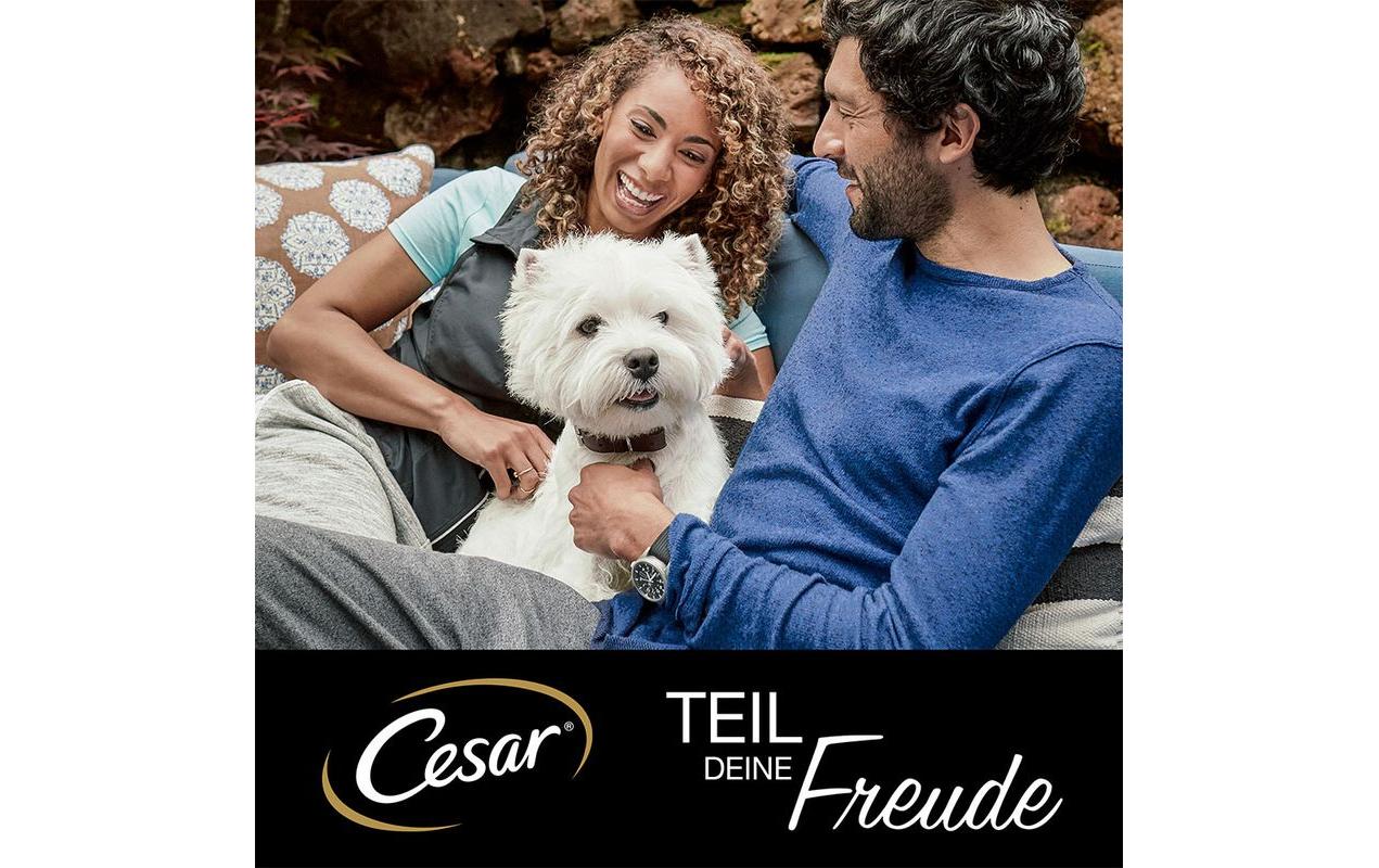 Cesar Trockenfutter Hunters Platter Rind, 1.4 kg