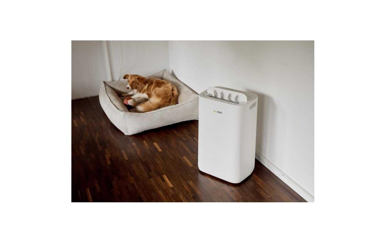 Ecofort Entfeuchter ecoQ DryAir 20L Complete 50 m² Ecofort Entfeuchter ecoQ DryAir 20L Complete 50 m²