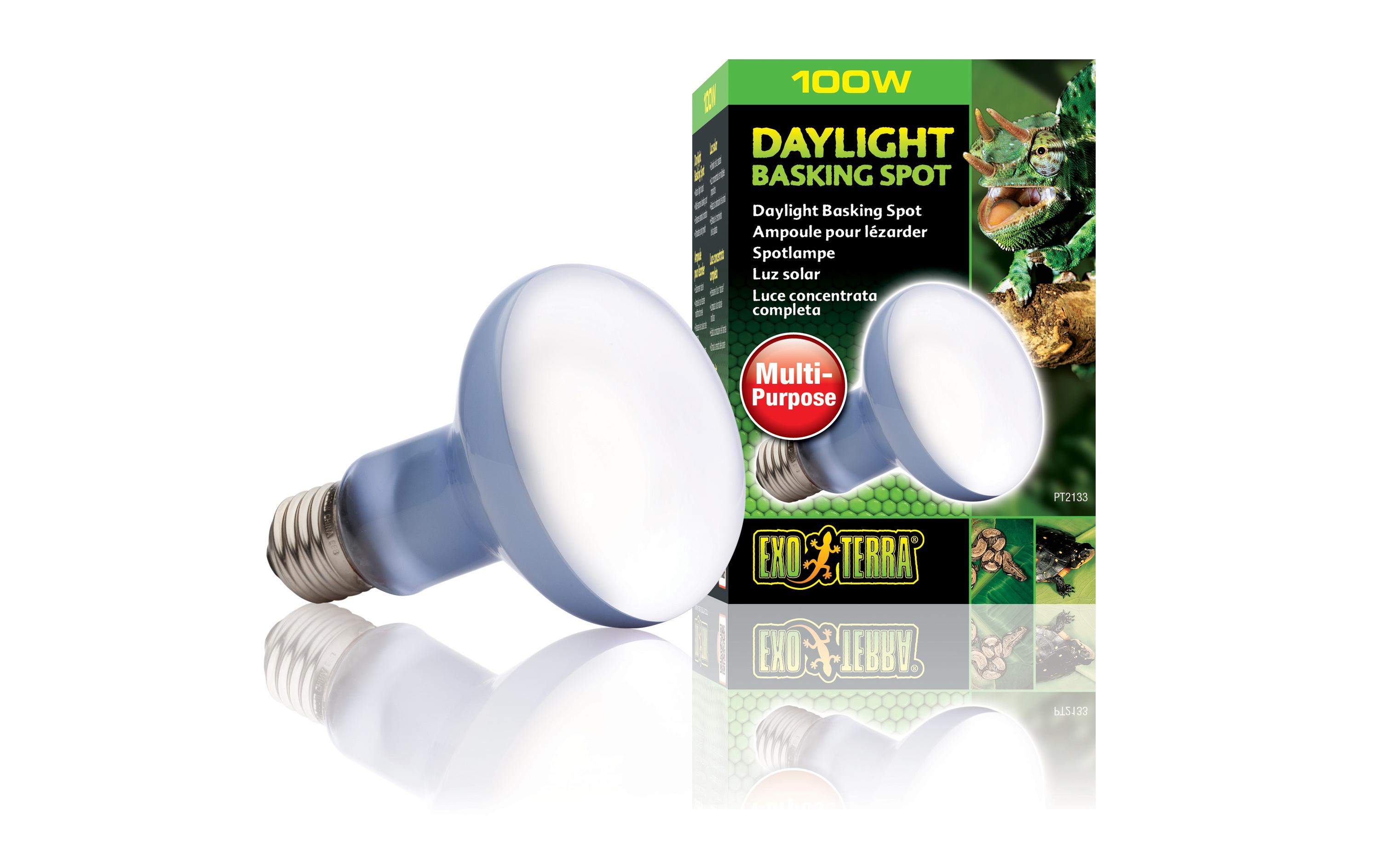 Exo Terra Terrarienlampe Daylight Basking Spot E27, R25/100W Exo Terra Terrarienlampe Daylight Basking Spot E27, R25/100W