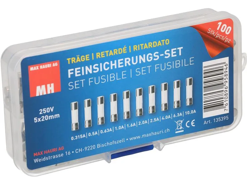 Max Hauri Schmelzsicherung Set 5 x 20 mm Träge, 100 Stück Max Hauri Schmelzsicherung Set 5 x 20 mm Träge, 100 Stück
