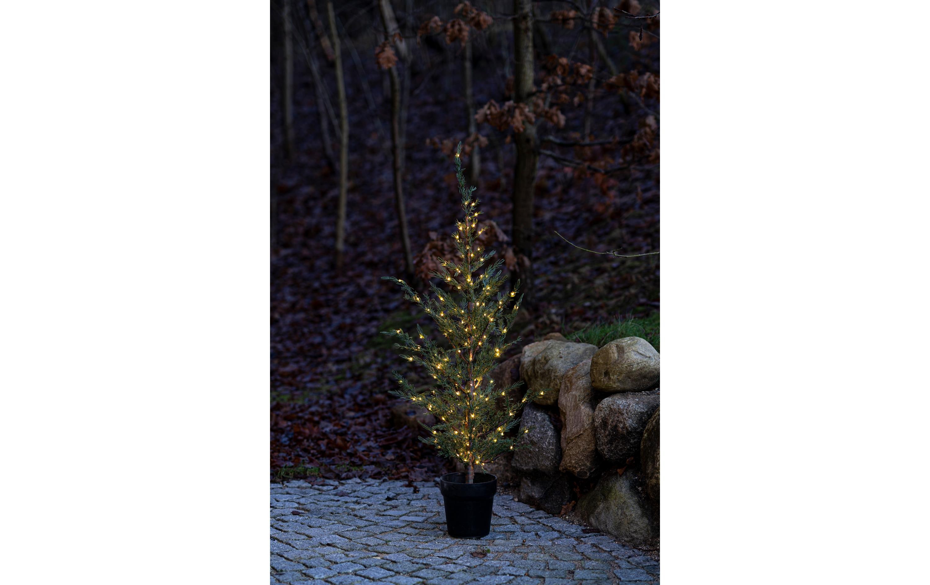 Sirius Weihnachtsbaum Milas, 150 cm, 150 LEDs, Grün