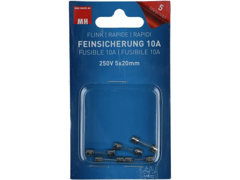 Max Hauri Schmelzsicherung 5 x 20 mm Flink 10 A, 5 Stück