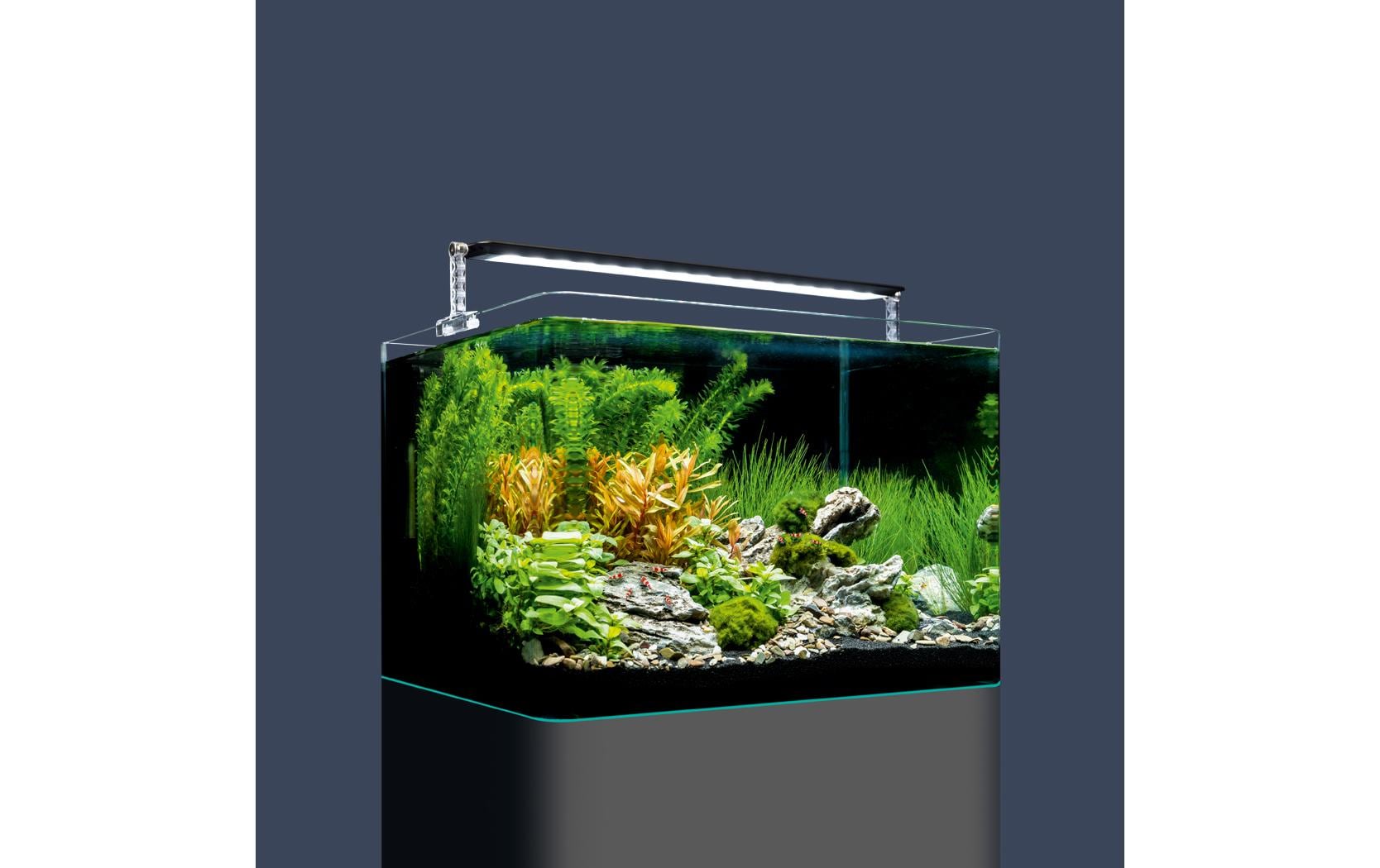 Dennerle Aquarium Nano Tank Plant Pro, 35 l