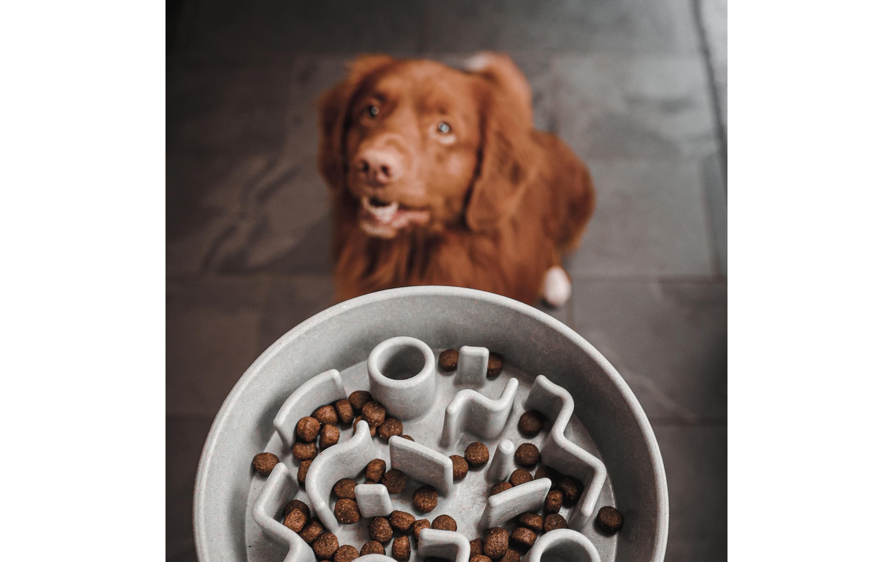 District 70 Bambusnapf Bamboo Dog Slow Feeder Ø 28 cm, Creme-Weiss