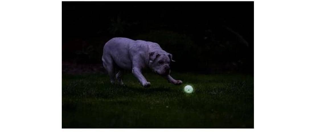 Chuckit! Leuchtball Max Glow Air Fetch Grösse M, 2 Stück