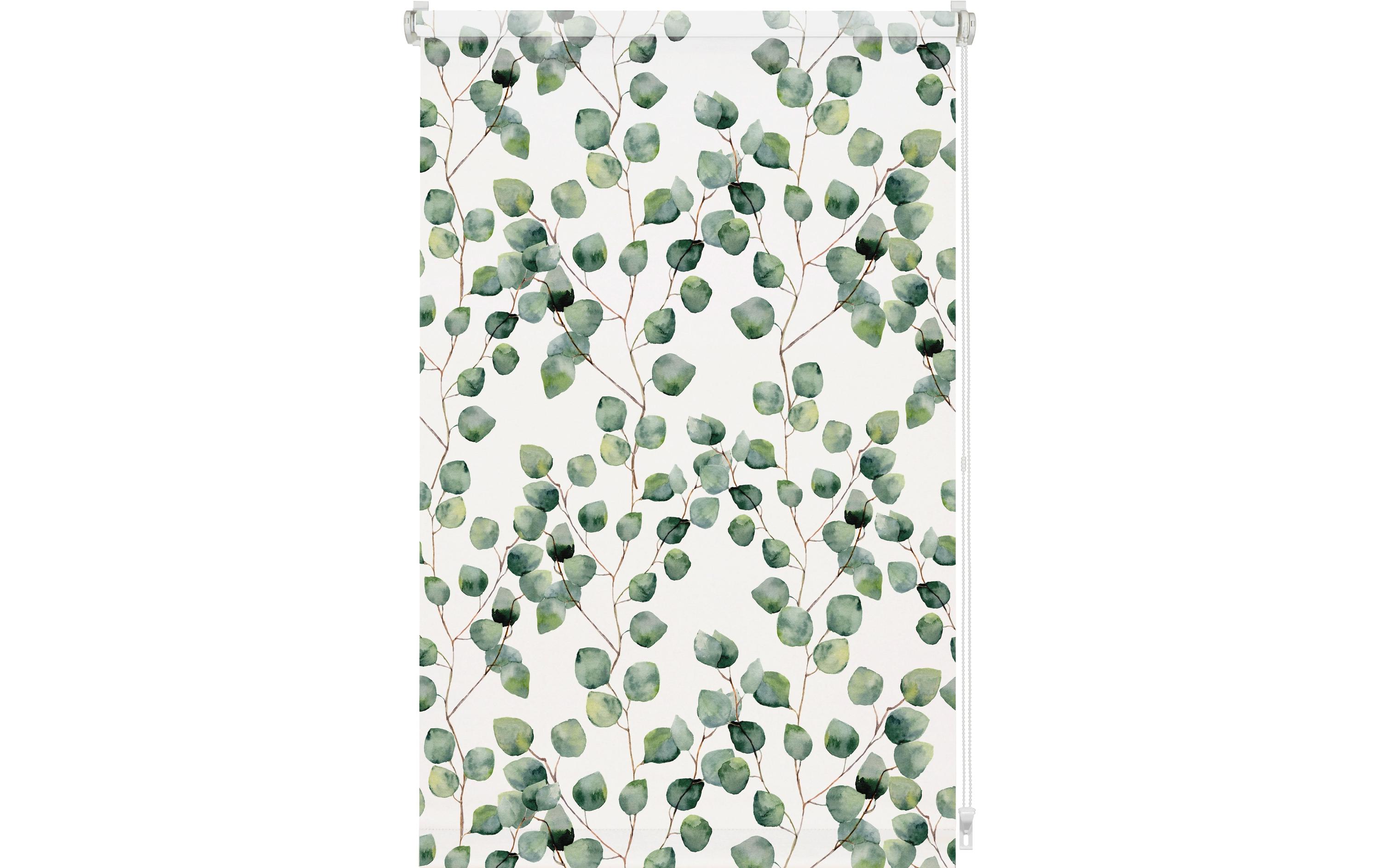 Gardinia EF Rollo Isabella 60 x 150 cm, Grün/Weiss