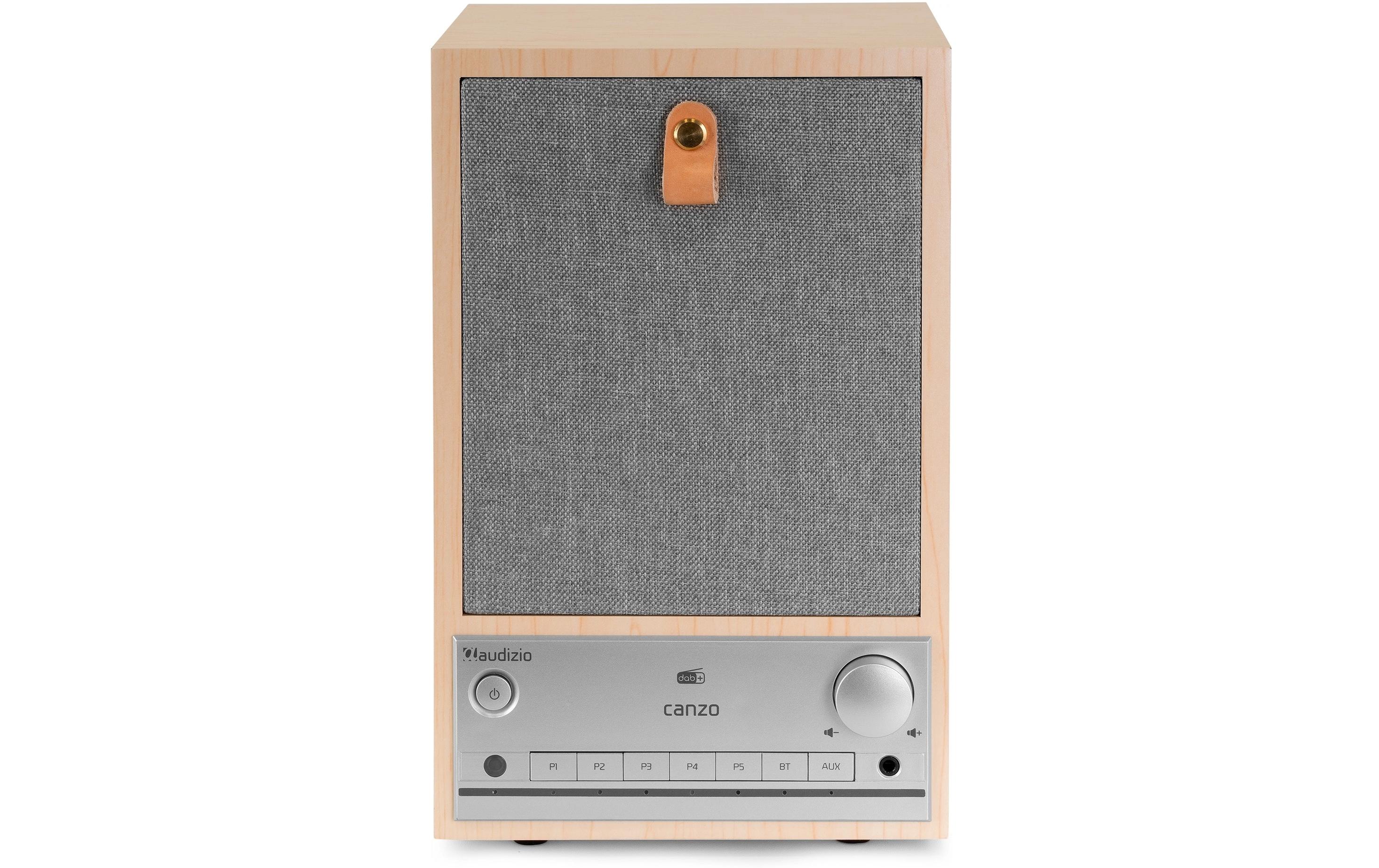 Audizio Internet Radio Canzo Braun