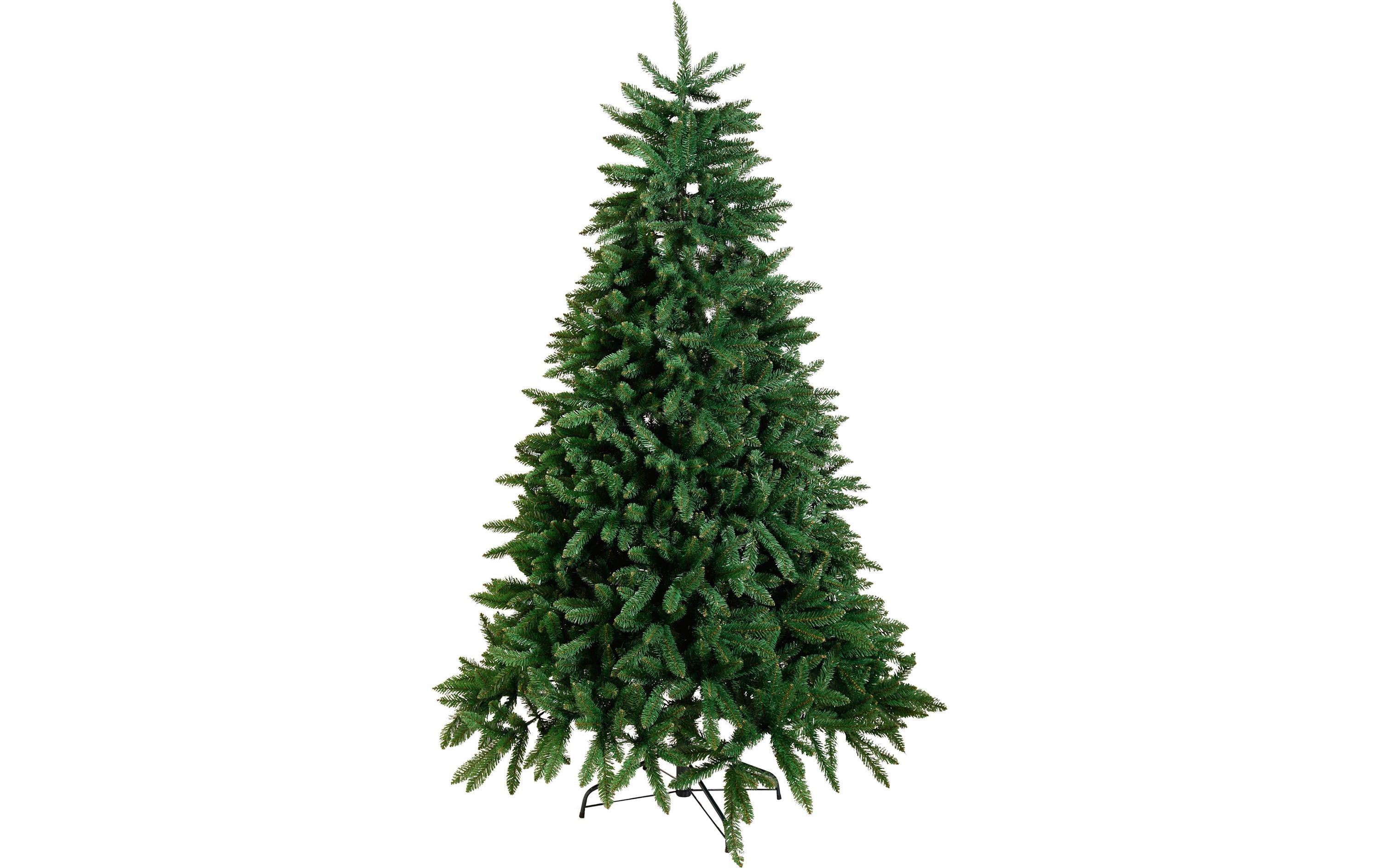 Star Trading Weihnachtsbaum Calgary, 2.1 m, Grün