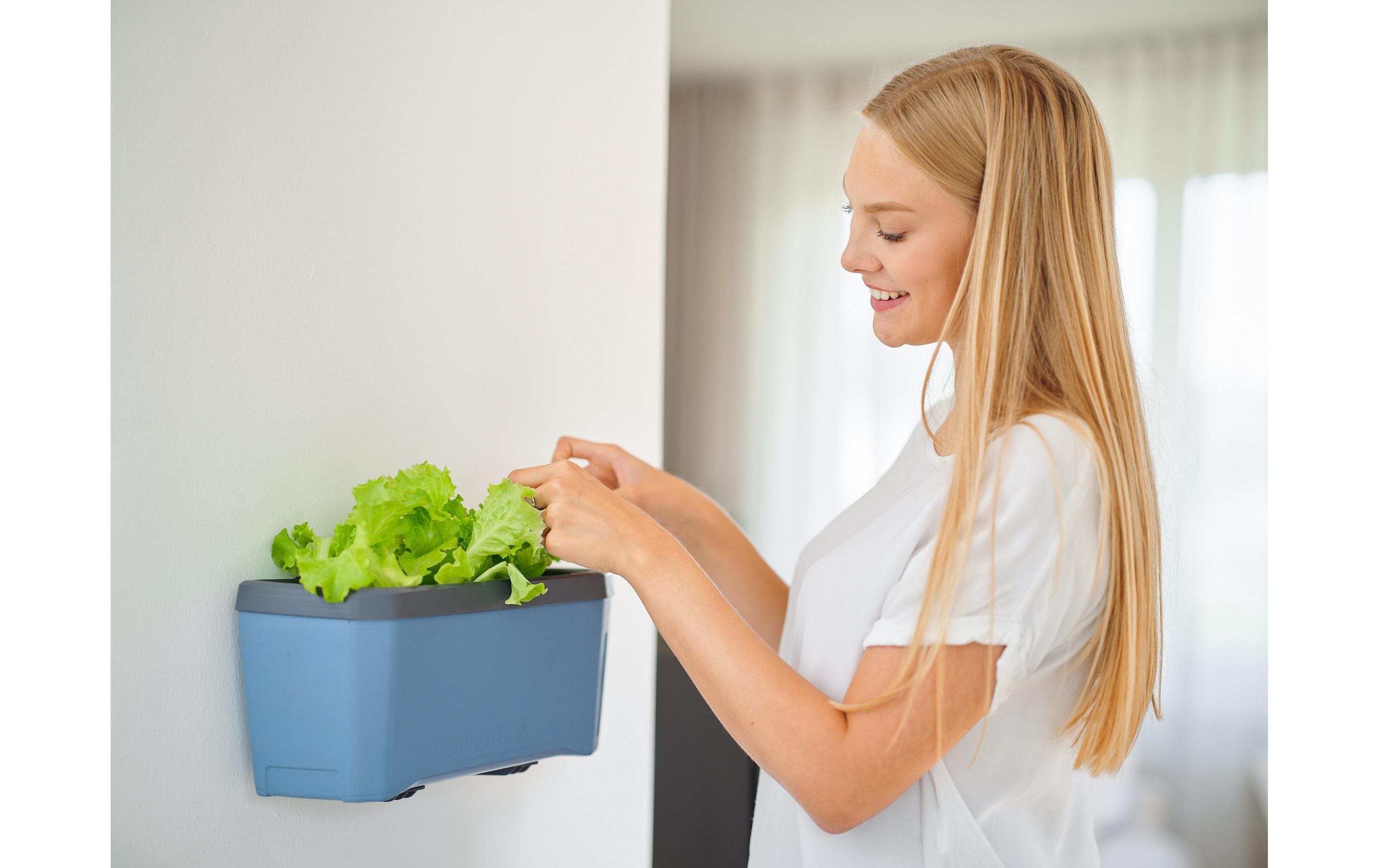 Gusta Garden Wandhalterung HARRY HERBS, Schwarz