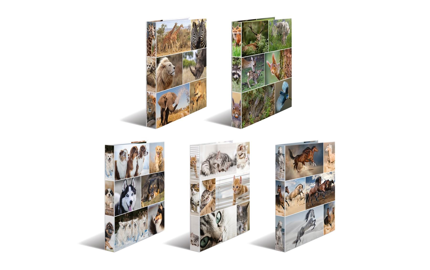 HERMA Ringbuch Afrika 2-Ring 3.5 cm, Mehrfarbig