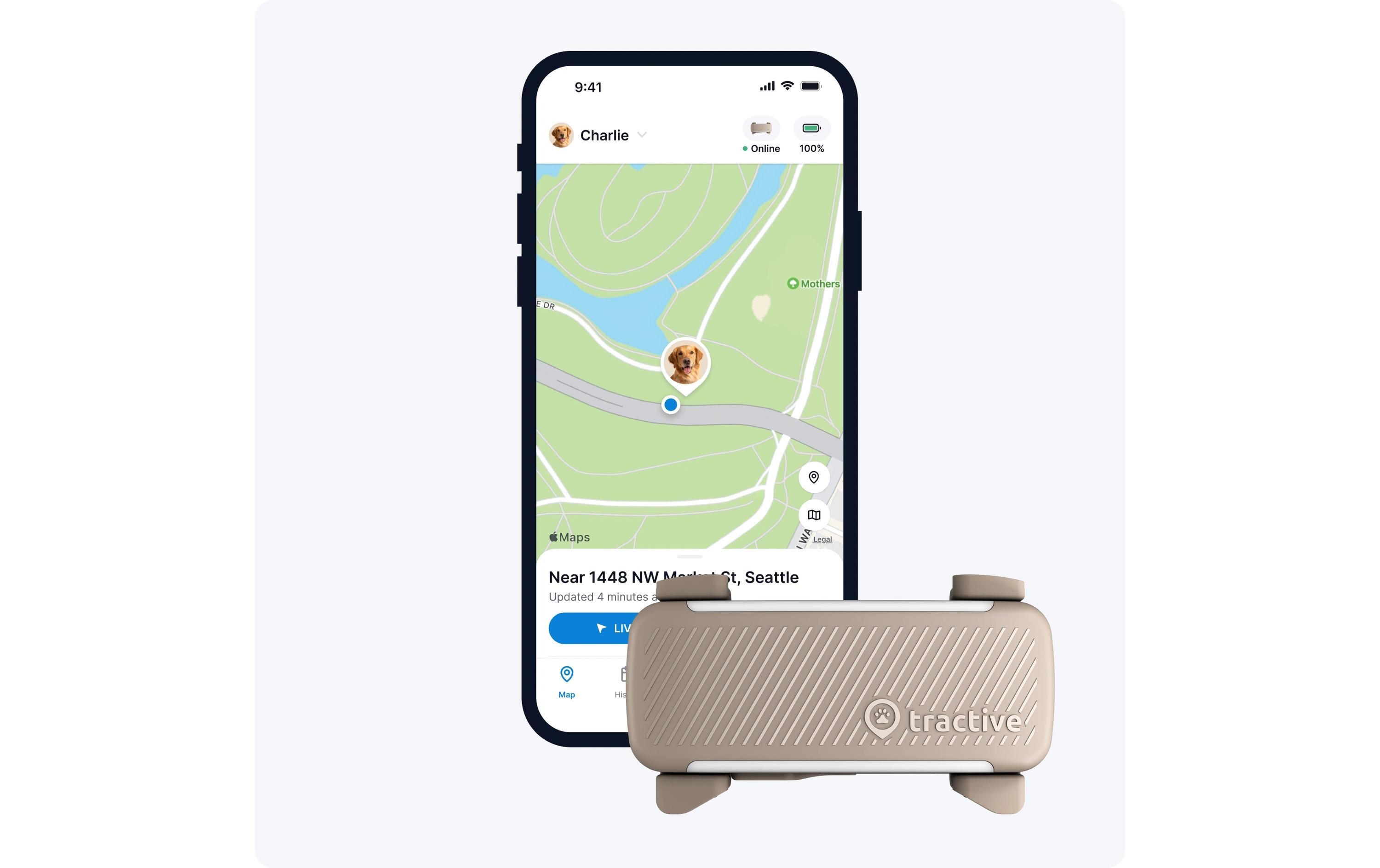 tractive GPS-Tracker DOG 6 Braun