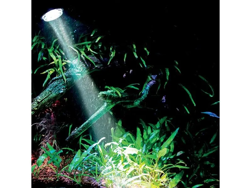 Hobby Aquaristik Aquarienleuchte Bubble Air Spot, Colour & Moon