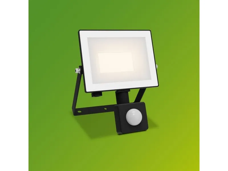 Philips Lois Flutlicht 20W 3000K IR IP65 schwarz 20 W