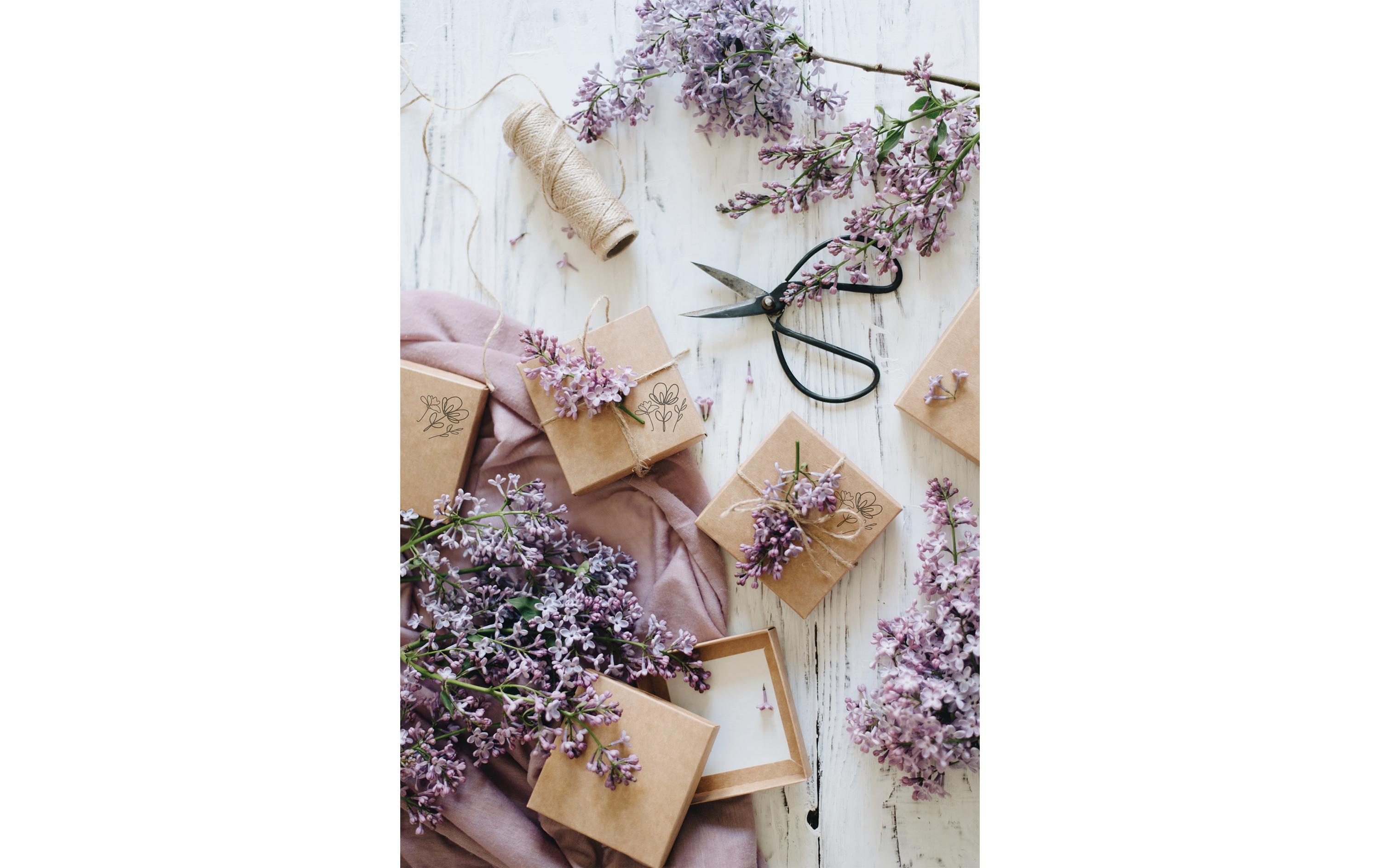 Colop Nio Stempelset Little Nio Set deutscher Text, 10-teilig