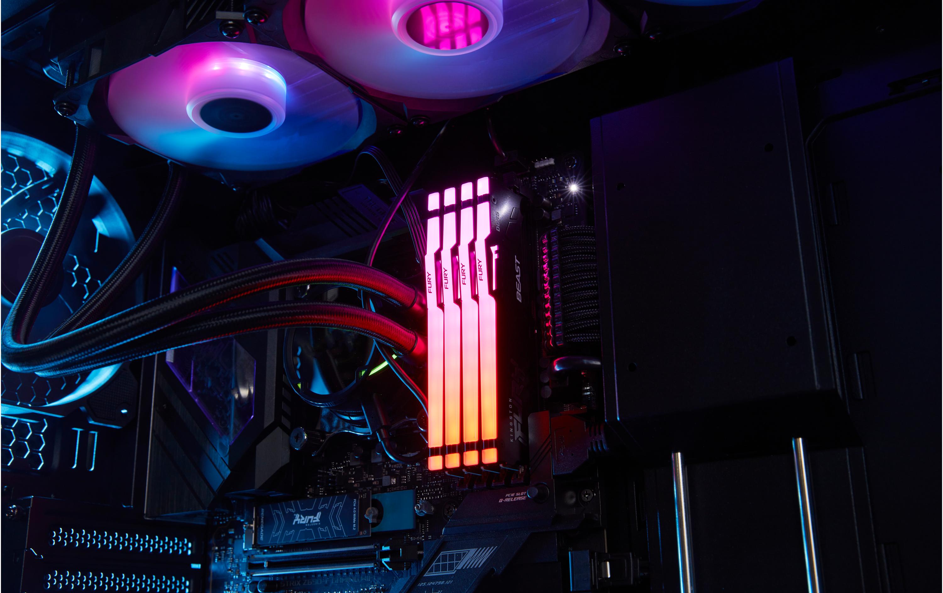 Kingston DDR5-RAM FURY Beast RGB EXPO 6400 MHz 2x 32 GB