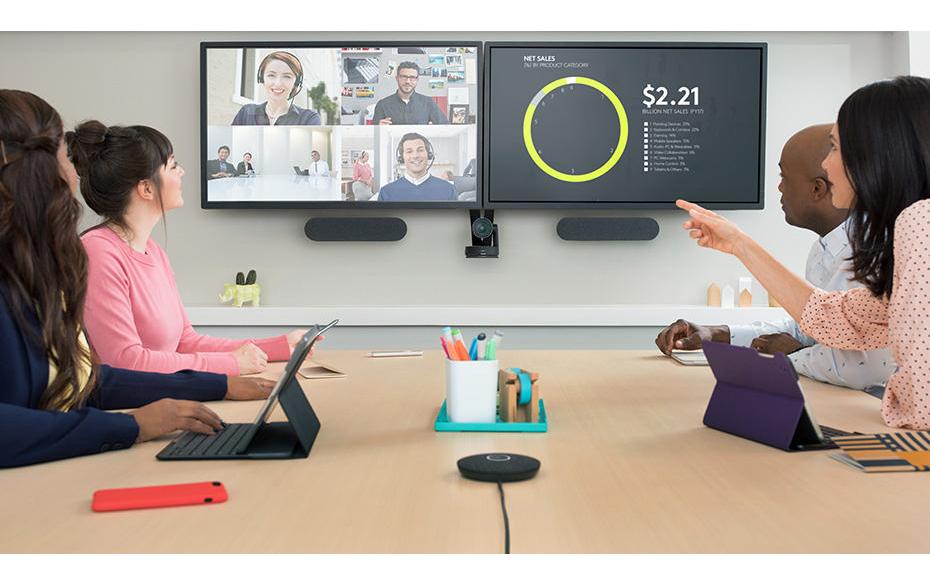 Logitech Erweiterungsmikrofon Rally Mic Pod