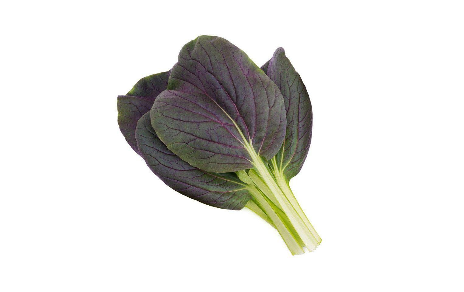 Click and Grow Samen Roter Pak Choi