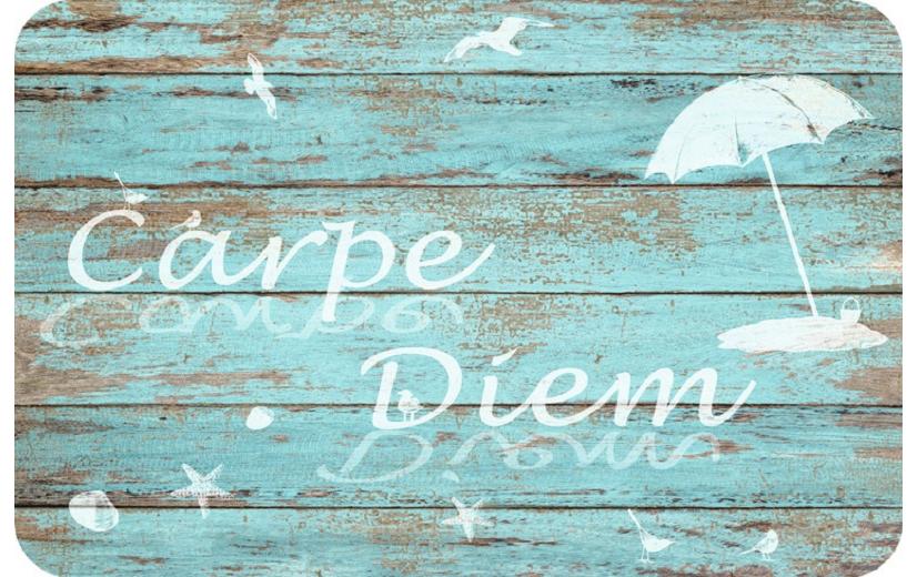 d-c-fix Tischset Carpe Diem 1 Stück, 29 cm x 44 cm,