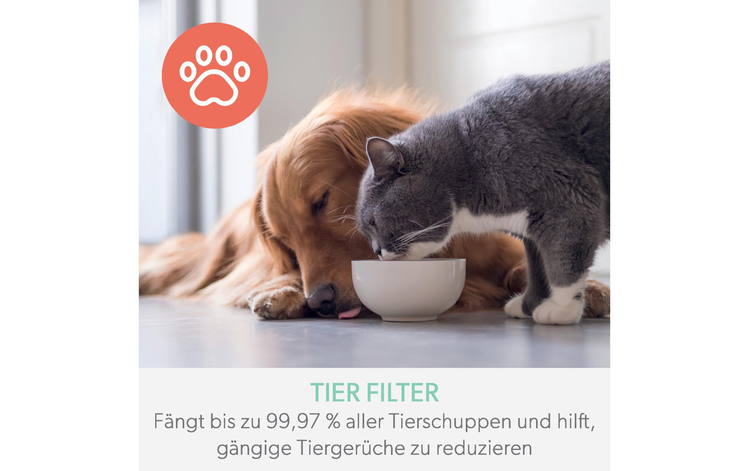 Leitz Trusens Luftfilter TruSens Tier 1 Stück