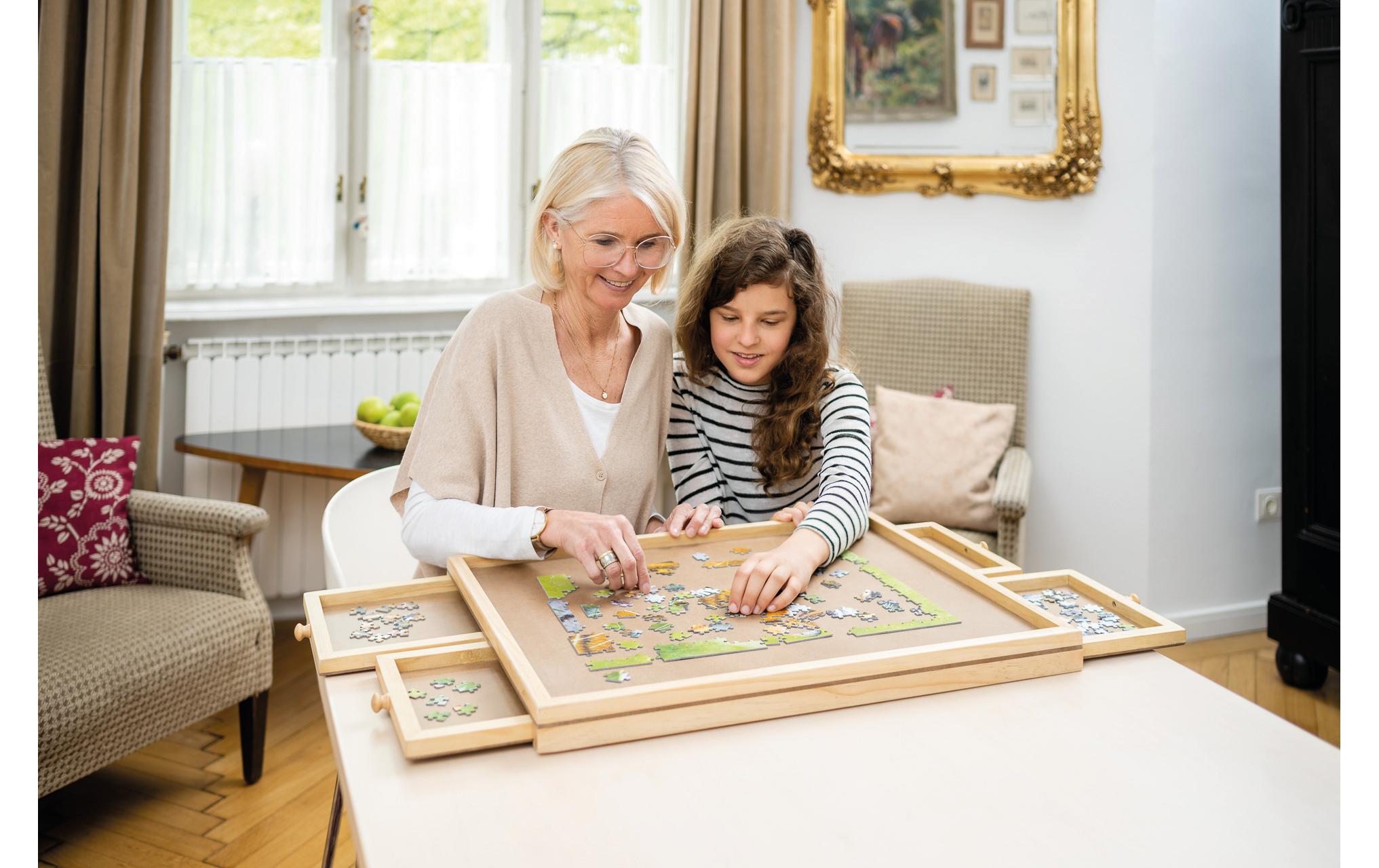 Smart Enterprise Puzzleboard 500