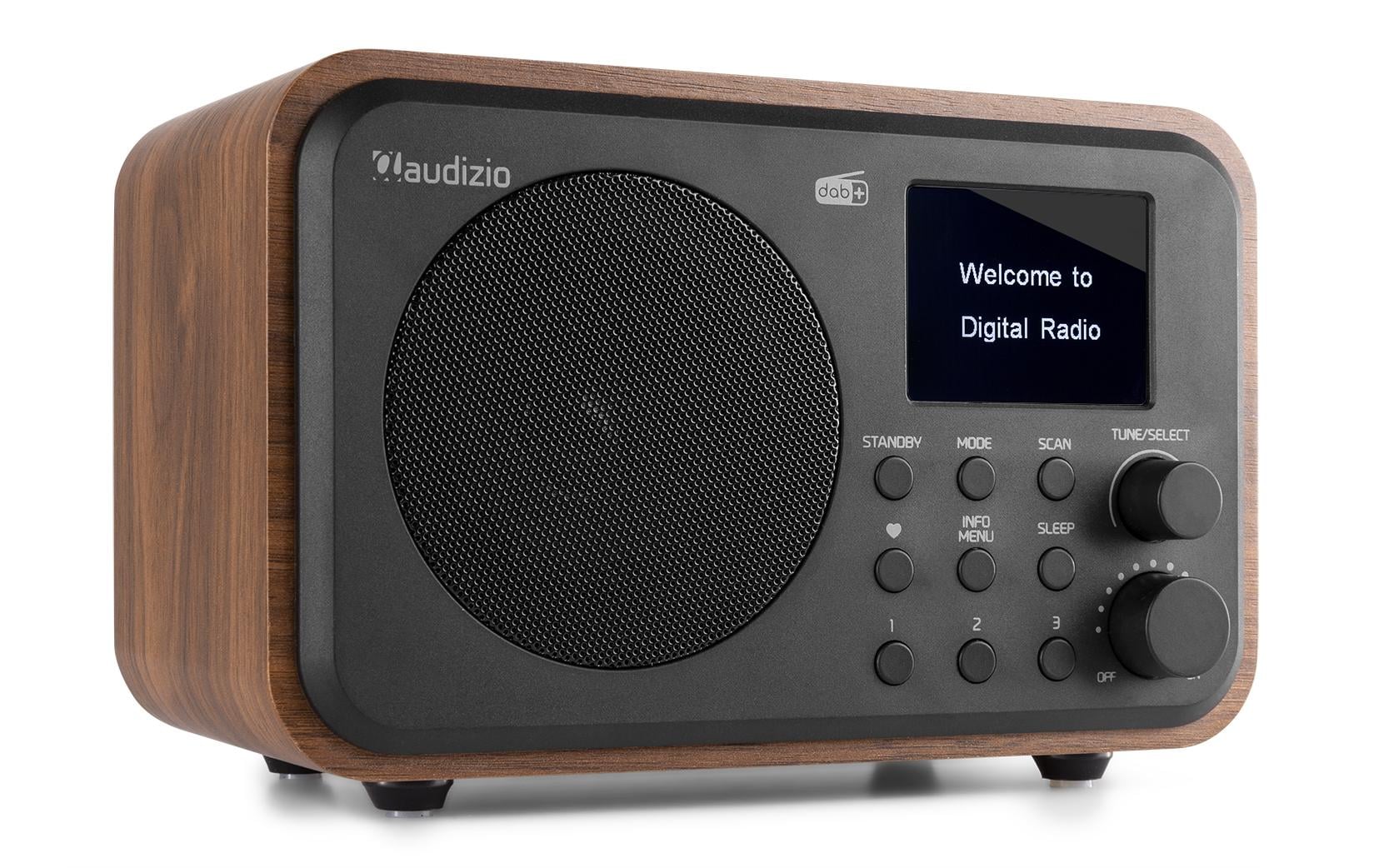 Audizio DAB+ Radio Milan Braun