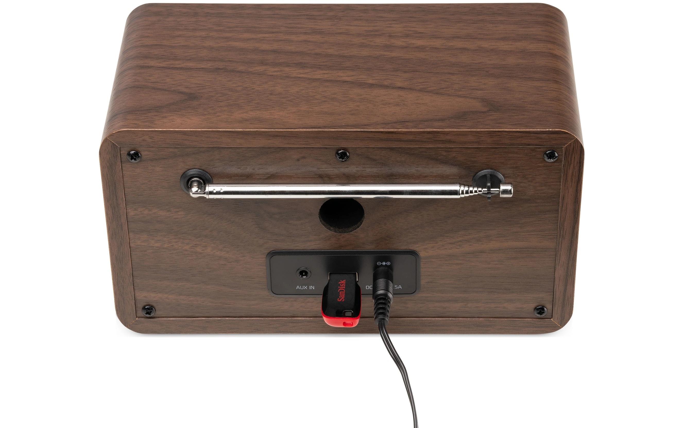 Audizio DAB+ Radio Avio Braun