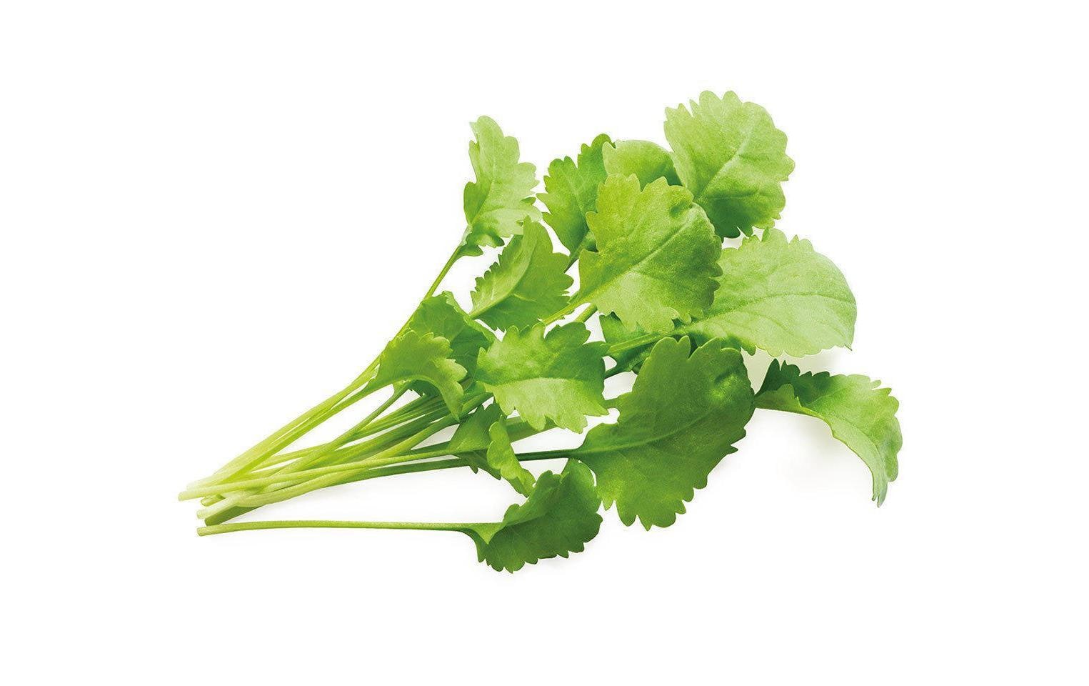 Click and Grow Samen Kresse Nachfüllpackung 3er-Set Click and Grow Samen Kresse Nachfüllpackung 3er-Set