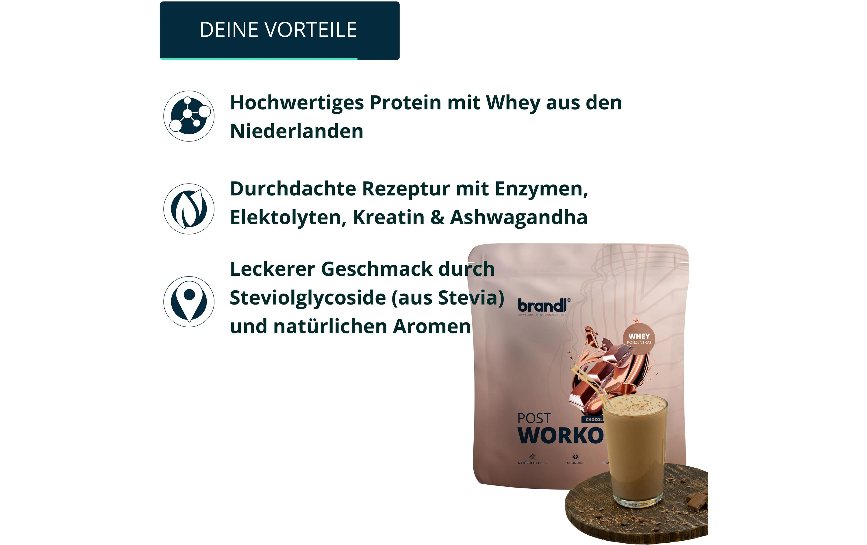 Brandl-Nutrition Pulver Pure Protein Schokolade 1000 g