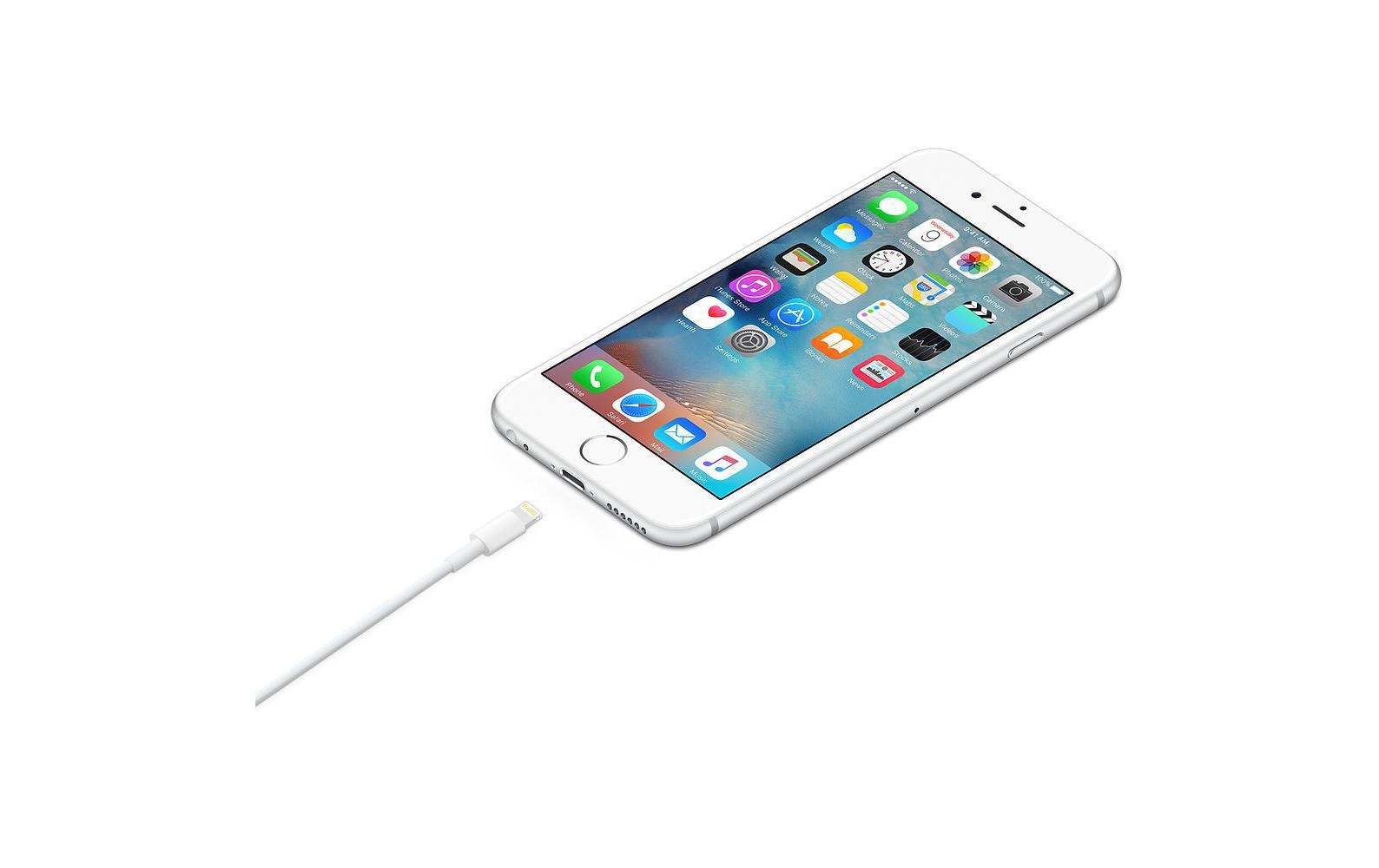 Apple USB 2.0-Kabel USB A - Lightning 1 m