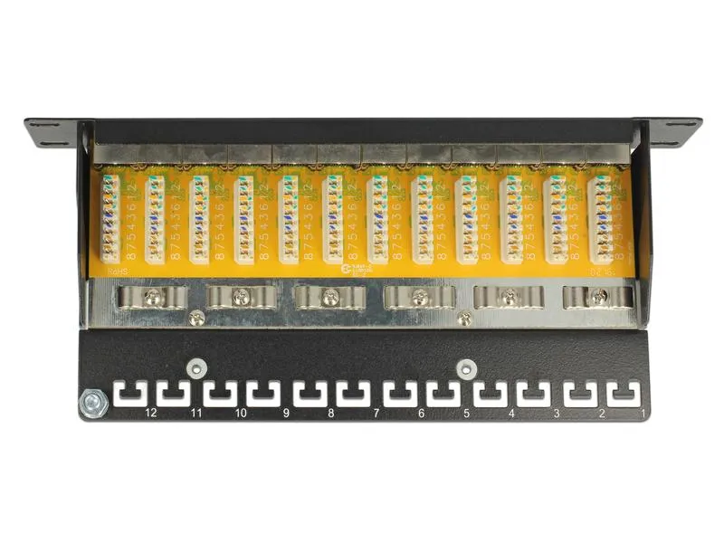 Delock Netzwerkpanel 12 Port 10 Cat.6 LSA Schwarz