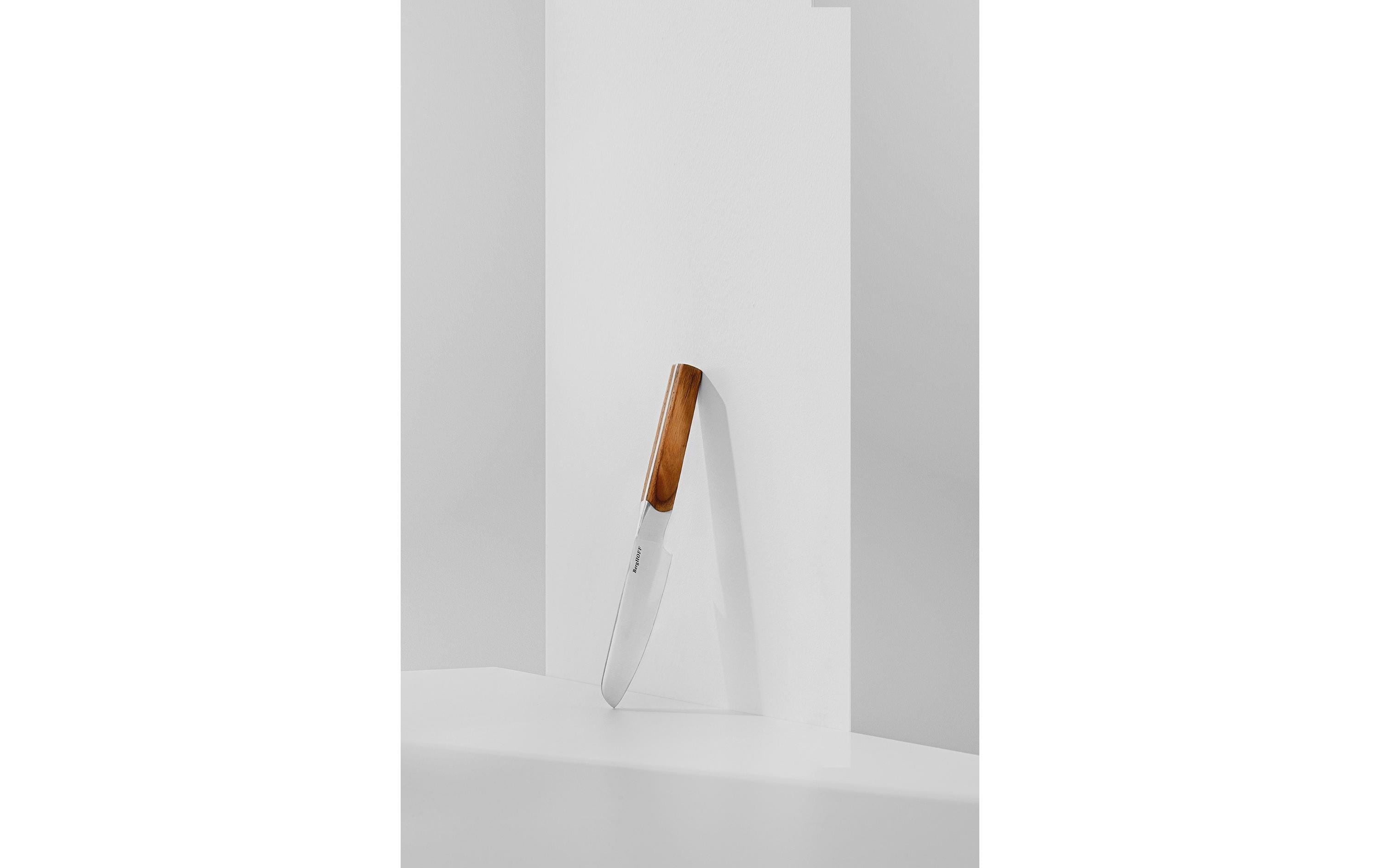 BergHOFF Messer-Set Dina Ion Eschenholz 3-teilig