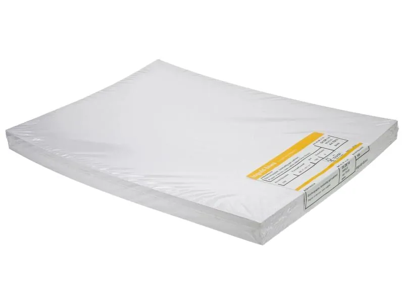 ingold-biwa Zeichenpapier Blanko A2, 180 g/m², 100 Stück, Weiss ingold-biwa Zeichenpapier Blanko A2, 180 g/m², 100 Stück, Weiss