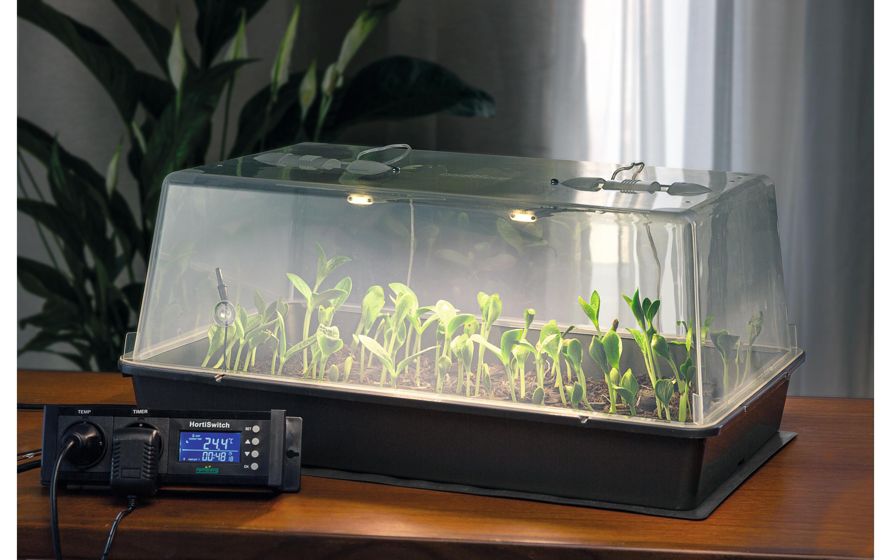 Romberg Anzuchtset Maximus Complete LED