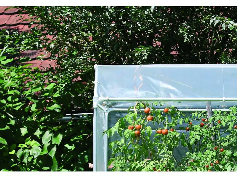 Windhager Tomatenhaus AluProfi Windhager Tomatenhaus AluProfi