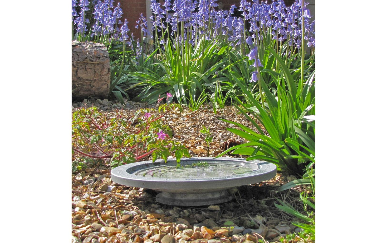 Wildlife World Vogeltränke Oasis 30 x 30 x 5.5 cm