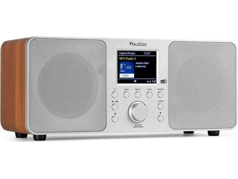 Audizio DAB+ Radio Genua Silber