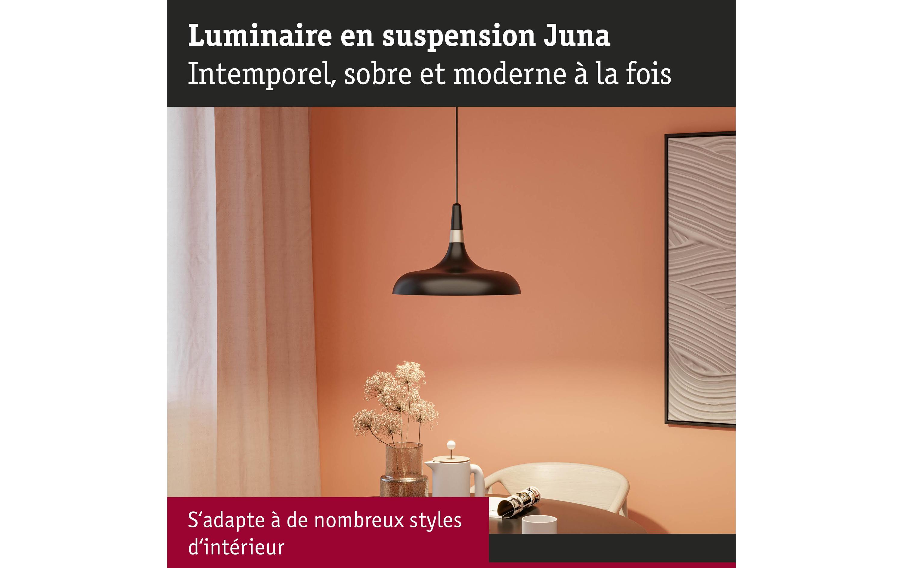 Paulmann Neordic Pendelleuchte Juna E27, Schwarz matt