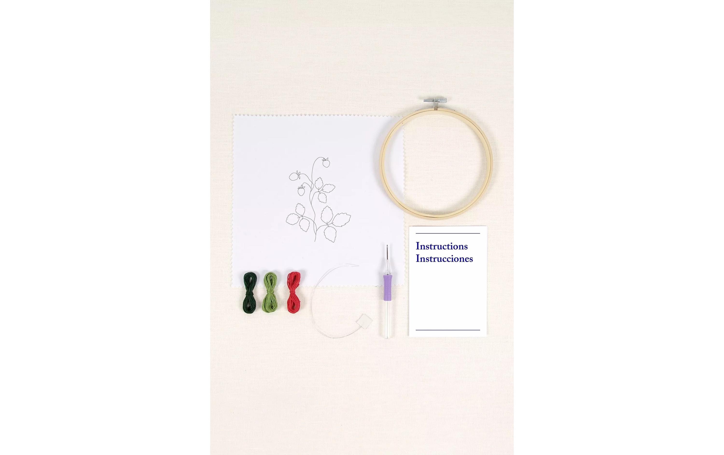 DMC Stickset Starter Kit Erdbeermotiv