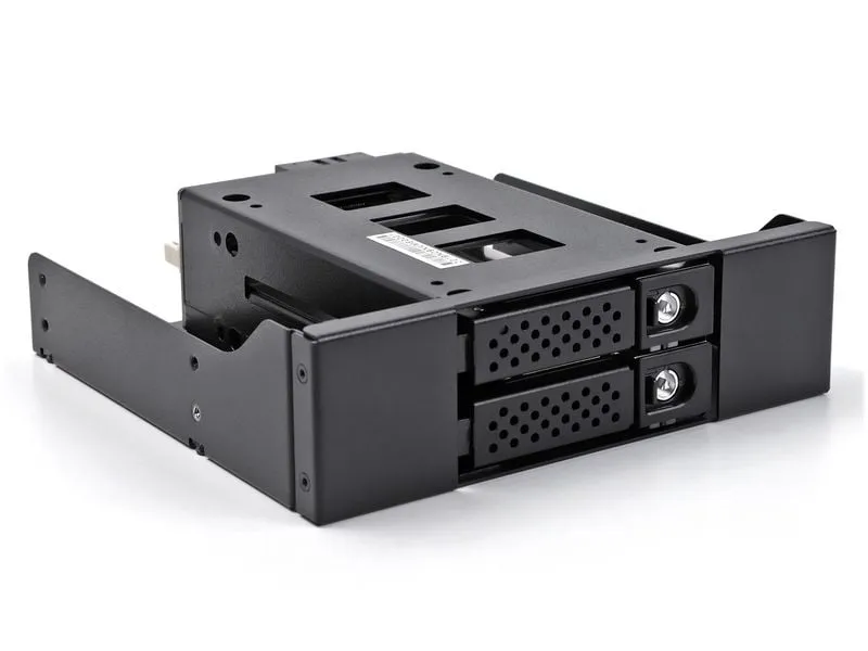 Delock Wechselrahmen U.2 NVMe 2.5