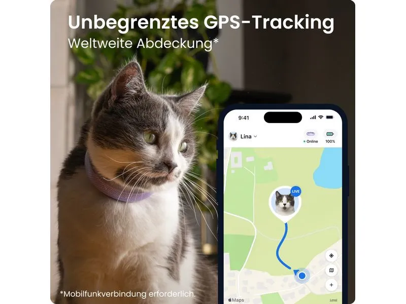tractive Tractive CAT 6 mini – lavender
