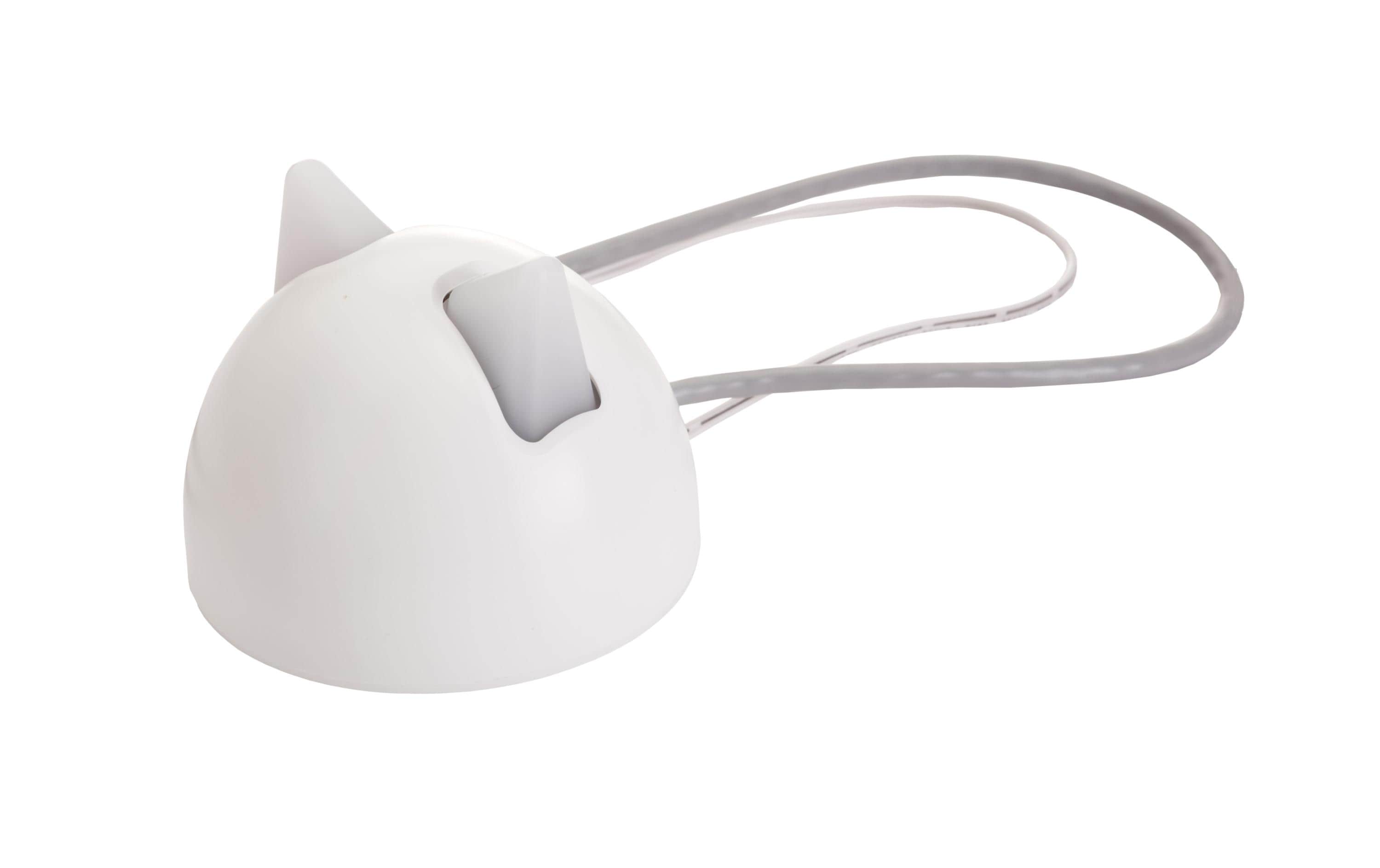 SureFlap Freilauftür Connect Hub 2.4 GHz