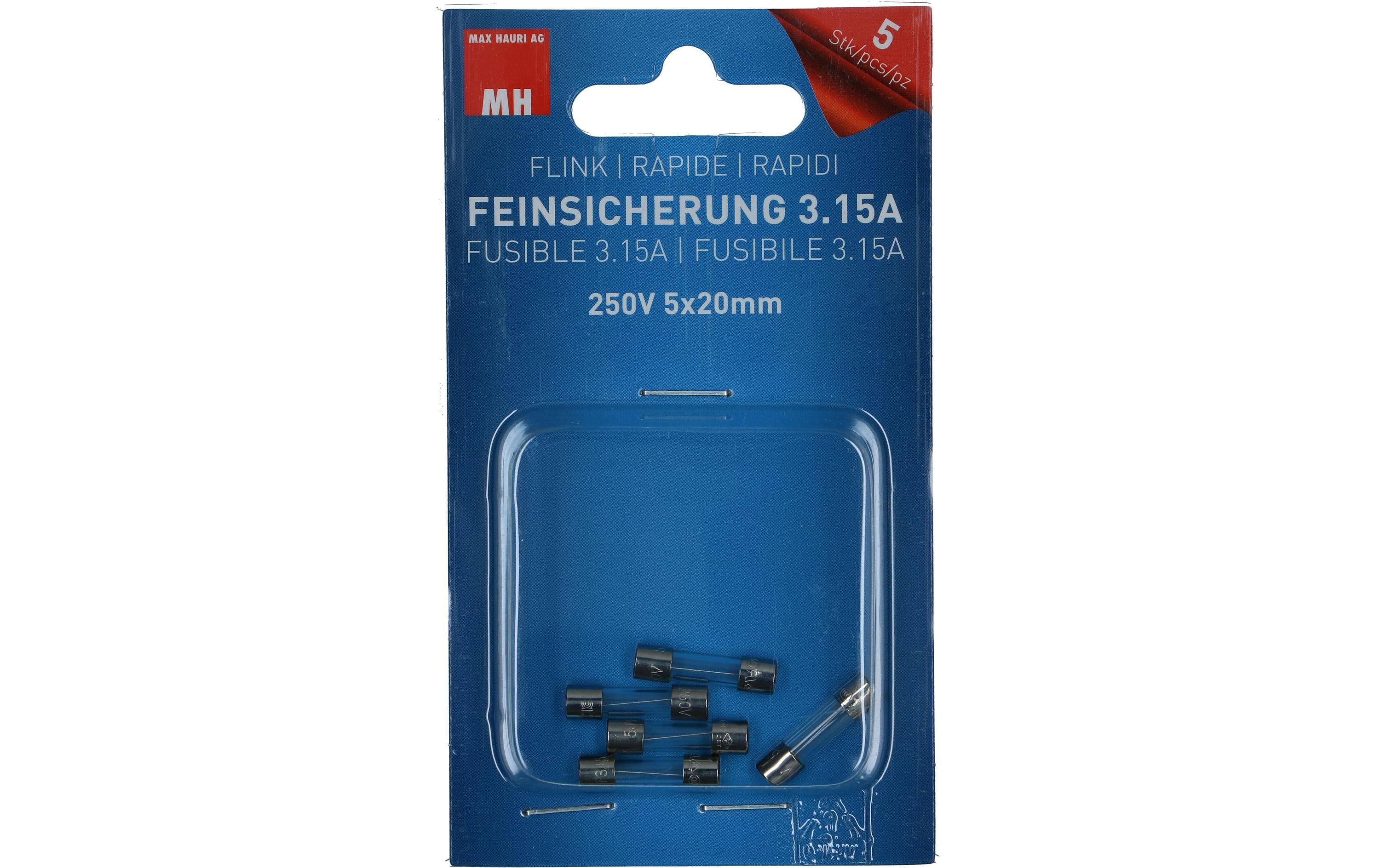 Max Hauri Schmelzsicherung 5 x 20 mm Flink 3.15 A, 5 Stück