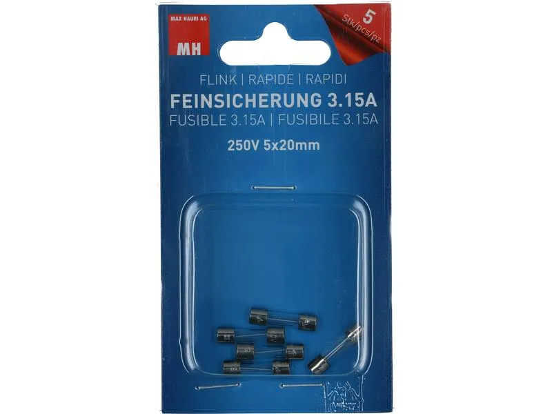 Max Hauri Schmelzsicherung 5 x 20 mm Flink 3.15 A, 5 Stück Max Hauri Schmelzsicherung 5 x 20 mm Flink 3.15 A, 5 Stück
