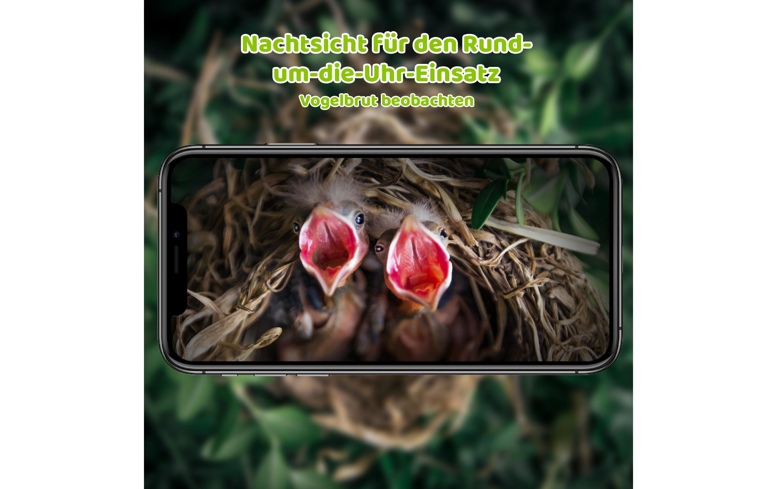 Sanilu Vogel Nistkasten mit Kamera und Solarpanel