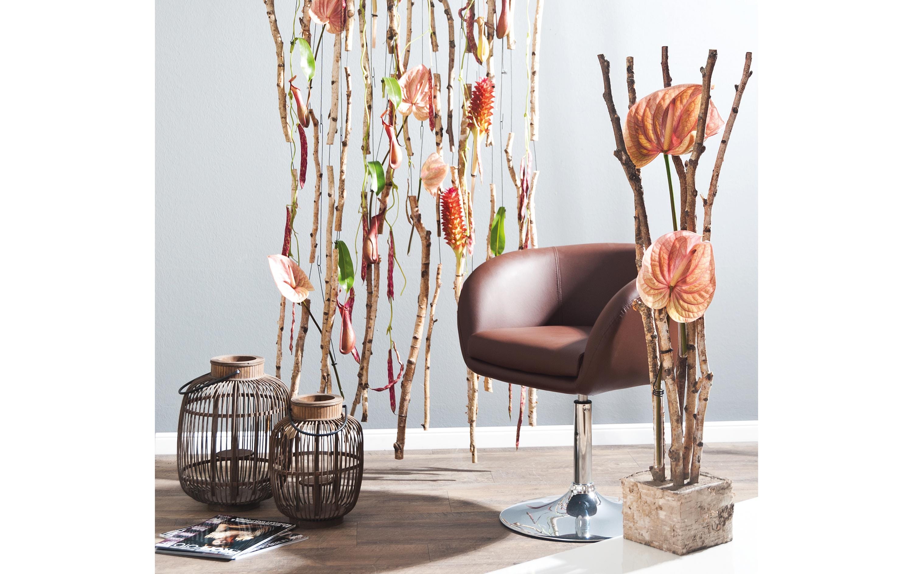 Opiflor Birkenäste gebündelt 1-2.5 x 50 cm Opiflor Birkenäste gebündelt 1-2.5 x 50 cm